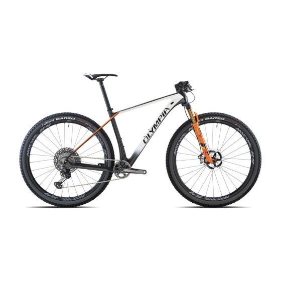 Olympia F1 Pro Carbonio Rock Shox SID SL Select RL